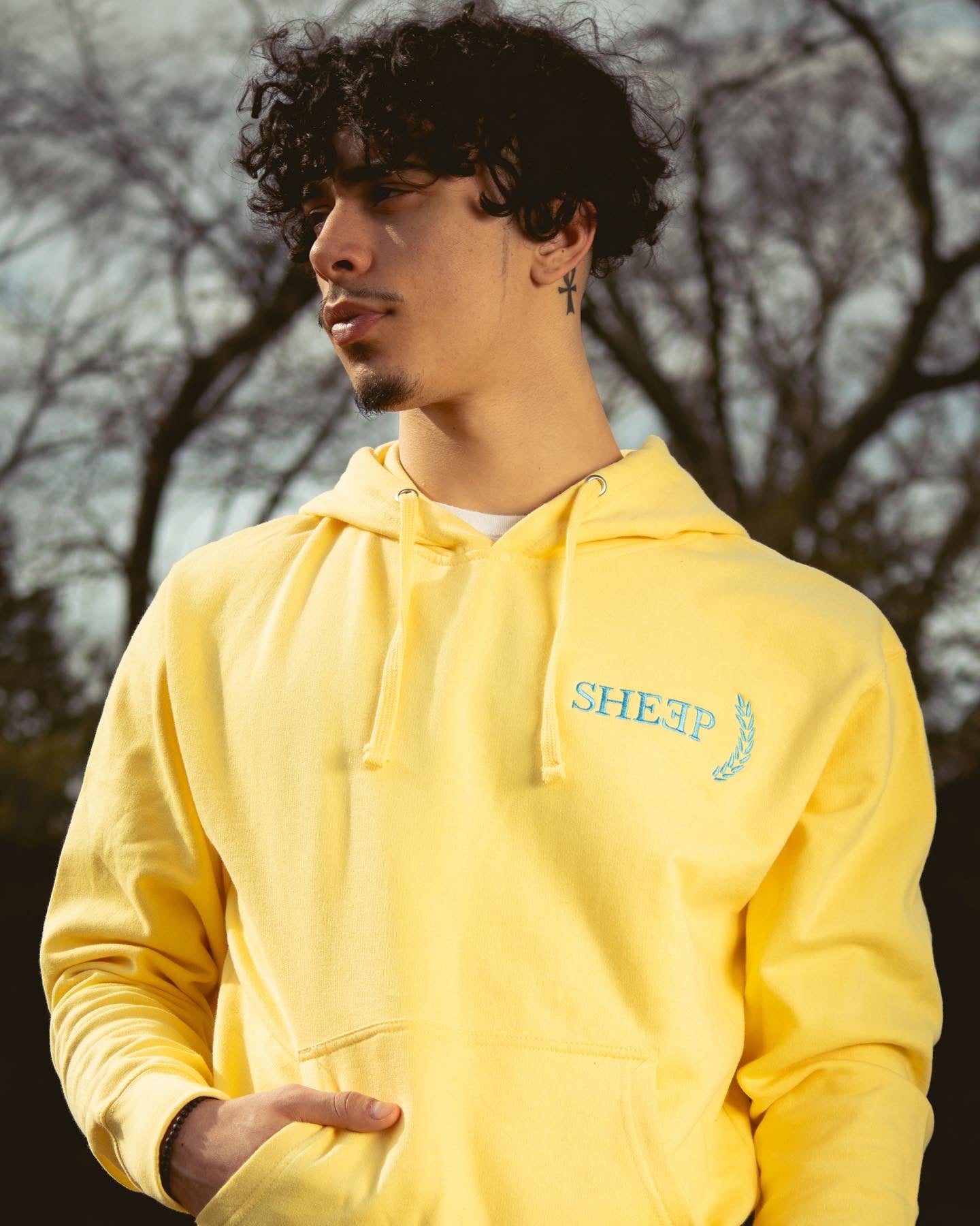 Yellow with Carolina Blue Hooded Sweatshirt