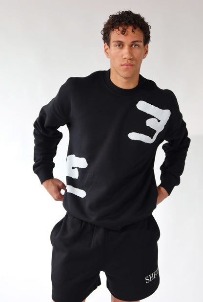 Crewneck/Short set